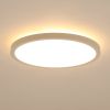 11.8 Inch Flush Mount Ceiling Light, 20W LED