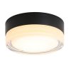 Small Size Flush Mount Ceiling Light 24W Glass Lampshade 2700K