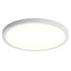 11.8 Inch Flush Mount Ceiling Light, 20W LED