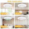 17.71in LED Ceiling Fan with Light Round Pendant